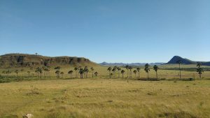 Chapada dos Veadeiros