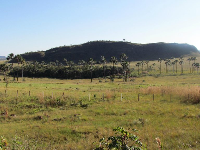 Chapada dos Veadeiros: conheça um dos lugares mais bonitos e imponentes desse parque em Goiás