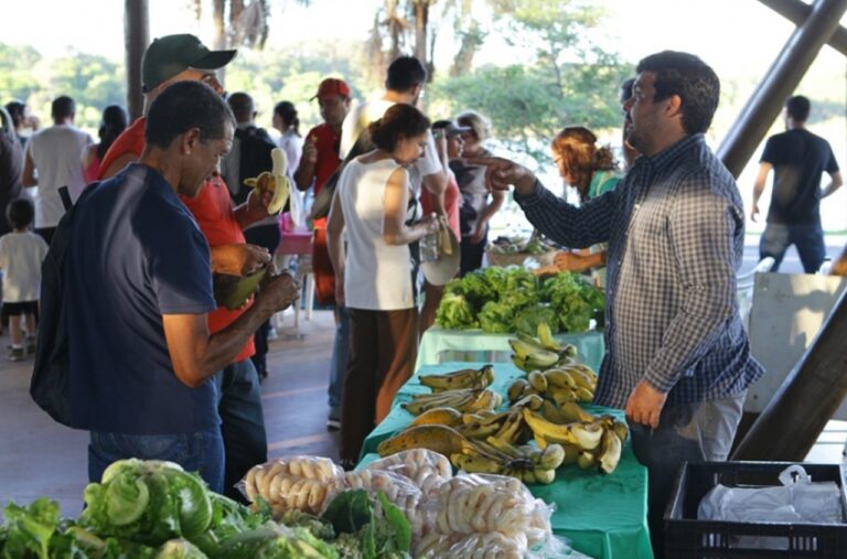 Conheça a feira de produtos naturais e orgânicos que acontece todas as terças-feiras em Uberlândia