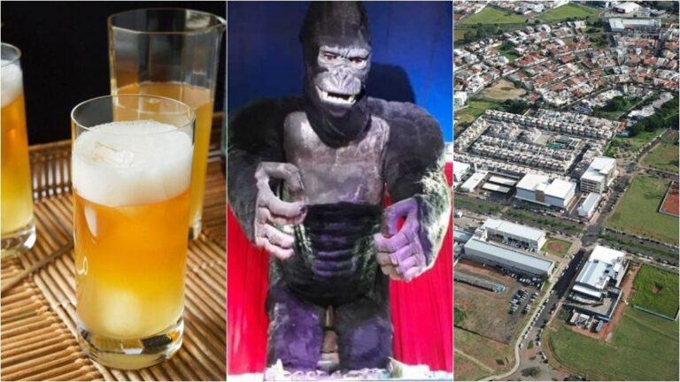 Veja o que fazer nos (365) dias de agosto em Uberlândia